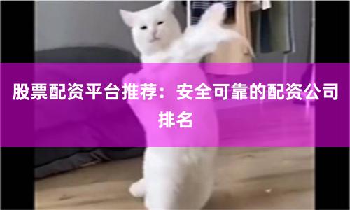 股票配资平台推荐：安全可靠的配资公司排名